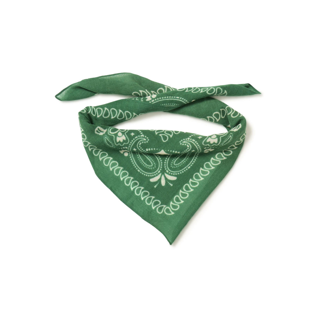 Mary Scarf