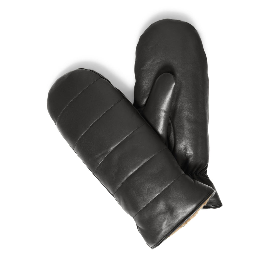 Nima Mitt
