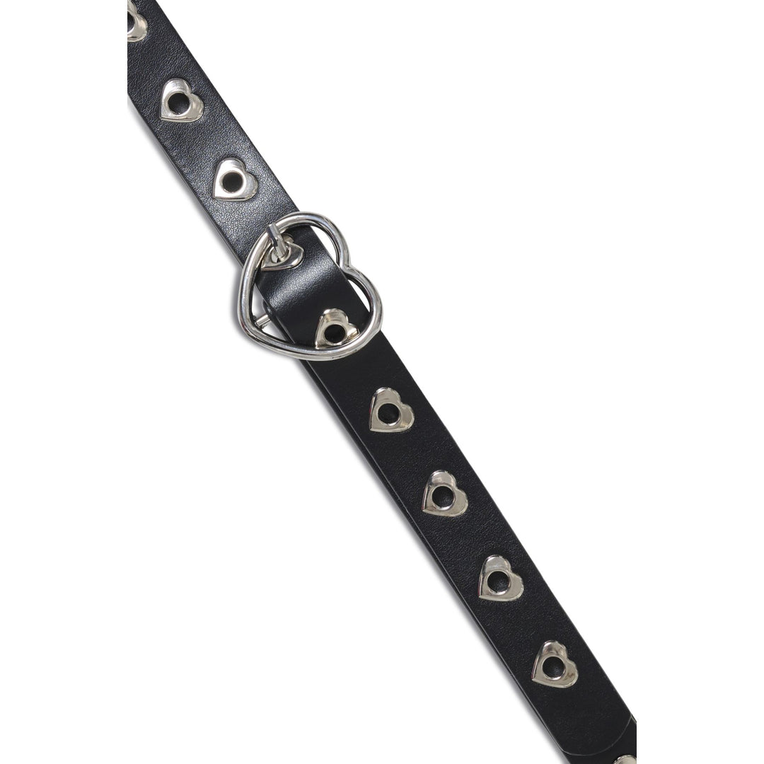 Kirsten Belt